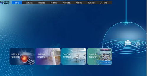 增收不增利的迷思 力盟科技上市后的跨境數字營銷困局與優化之道